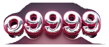 o9999 logo